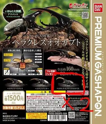 생물대도감 어드밴스 헤라클레스 장수풍뎅이 세프텐트리오날리스 x 2