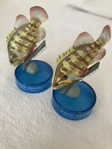 교토 수족관 캡슐 토이 오야니라미