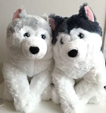 흐물흐물 복슬복슬 시베리안 허스키 울트라 BIG 봉제 인형 2세트
