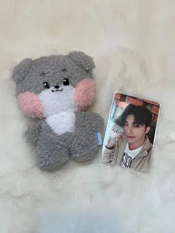 제베원 건욱 거니니 봉제 인형 트레이딩 카드 세트