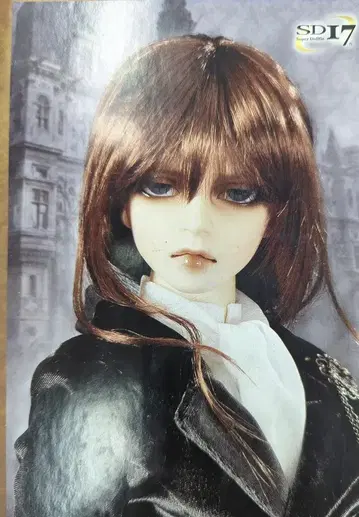 보크스 SD17 남아 은화의 맹세 윌리엄스 The young Ensign