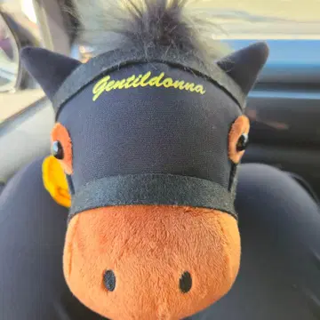 서러브레드 컬렉션 복슬복슬 BIG 봉제 인형 (젠틸돈나) 택 포함