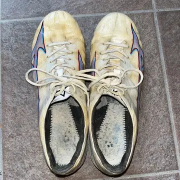 미즈노 알파 프로