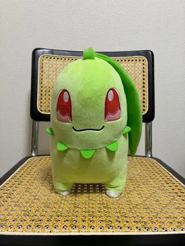 치코리타 봉제 인형 약 30cm