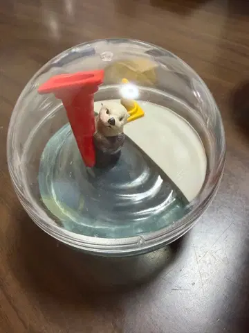 캡슐 토이 토바 수족관 알래스카 랏코