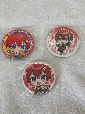 스타폴라 Coe.군 캔뱃지