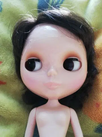 브라이스 Blythe save the animals 세이브 더 애니멀즈