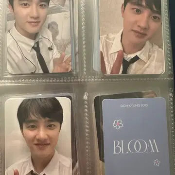 도경수 bloom md 포토카드 | 브랜드 중고거래 플랫폼, 번개장터