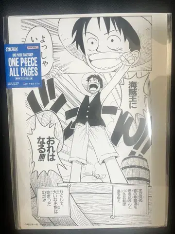 원피스 베이스샵 한정판 ONE PIECE ALL PAGES 루피