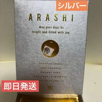 아라시 Anniversary Tour 5 x 20 실버 스와로브스키 귀중