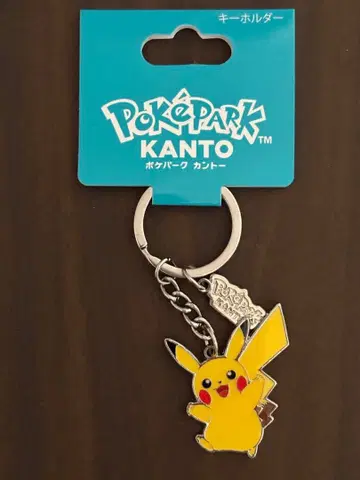 포켓파크 관동 피카츄 키링 메탈 키링