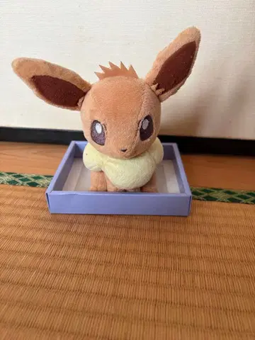 이브이 봉제 인형 약 15cm 마이 포켓몬 컬렉션 레어