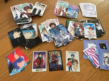 에반게리온 카드 묶음 판매 (키라 아마다 마스터즈) 124장