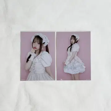 브로마이드 사쿠라바 하루카