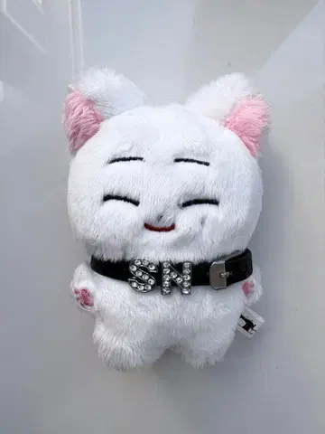 ENHYPEN 선우 봉제 인형 인형 마스터 eninmals