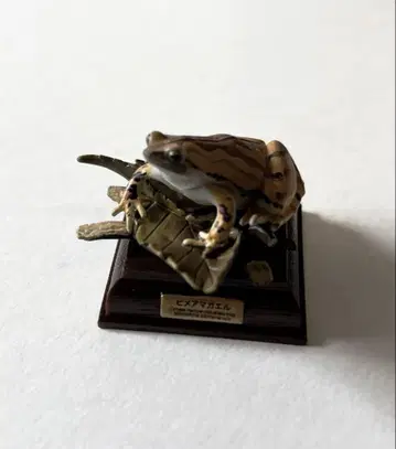 네이처 테크니컬러 일본의 개구리 히메청개구리 가챠 미니 피규어 개구리