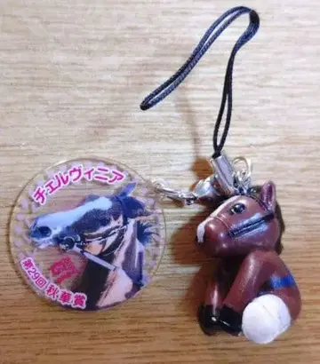 아이돌 호스 미니 컬렉션 체르비니아 제29회 추화상