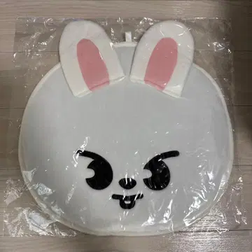 straykids 리노 리비트 부채 케이스