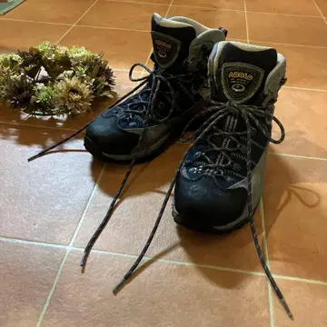 아조로 여성용 25cm