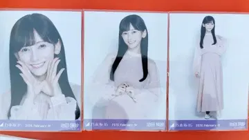 이케다 에이사 기별 컬러 원피스 브로마이드 컴프