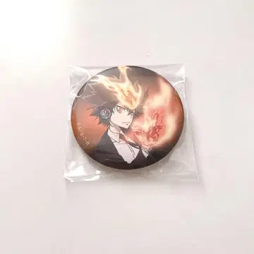 가정교사 히트맨 REBORN! 리본 사와다 츠나요시 캔뱃지