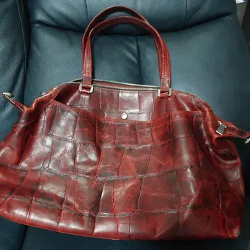 aniary 아니아리 보스턴 백 크로커다일풍