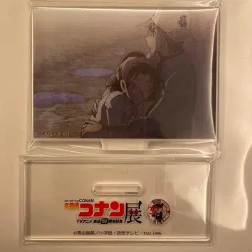 명탐정 코난 코난전 애니코난전 렌티큘러 아크릴 스탠드 헤이지 카즈하