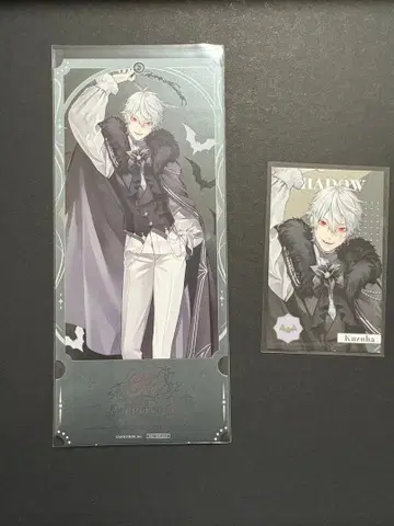 쿠츠하 8주년 폴라로이드 특별 혜택