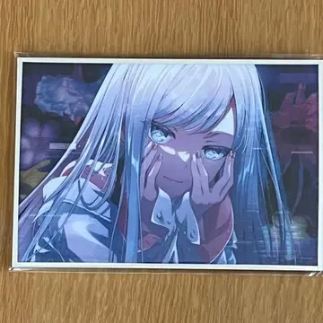 프로세카 하피콜레 벌스데이 카나데 아크릴 색지 C