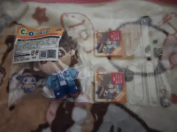 히코쿠지 가정교사 히트맨 REBORN! 사와다 츠나요시 & 리본 세트