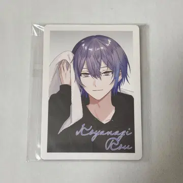 니지산지 빗쿠라타마고 코야나기 로우