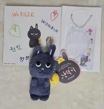 RIIZE 토냥독 원빈 10cm 키링 스티커 슬리브