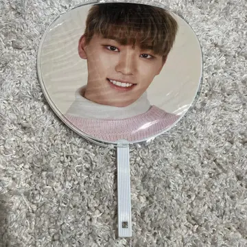 SEVENTEEN 디노 부채 Say the name