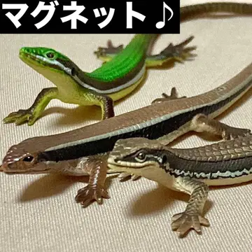 네이처 테크니컬러 도마뱀