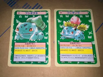 톱산 포켓몬 카드 이상해씨 파랑 뒷면 이상해풀 그린 뒷면 세트