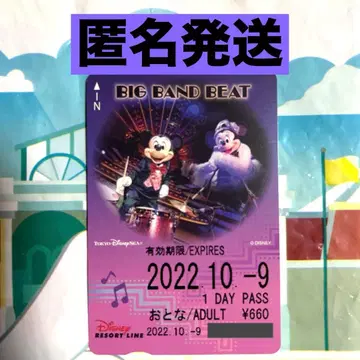 디즈니 리조트라인 프리 티켓 빅뱅 비트 사용 완료