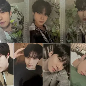 원어스 oneus 포카 포토카드 양도 | 브랜드 중고거래 플랫폼, 번개장터