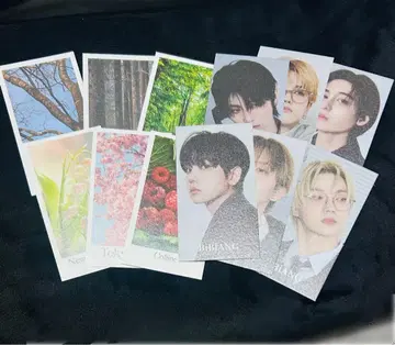 보넥도 비비안 혜택 트레이딩 카드 6종 세트