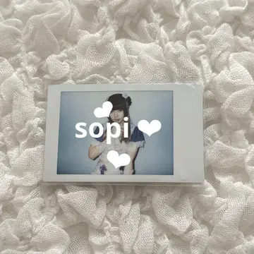 큐르링 해봐 환이네 란체키