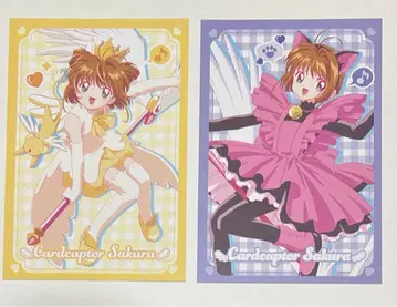 CC 카드캡터 사쿠라 팝업 블라썸 엽서 2장
