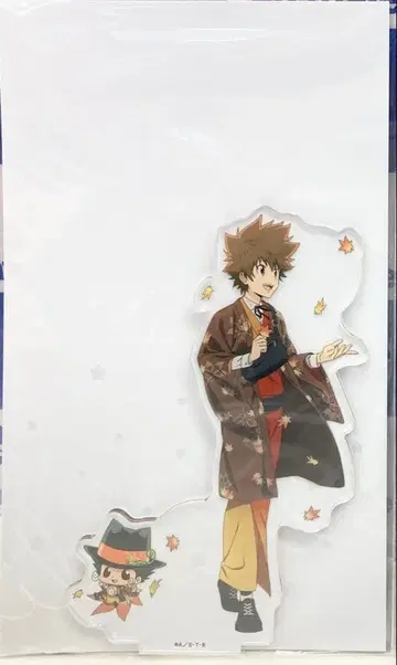 가정교사 히트맨 REBORN 아크릴 스탠드 츠나요시 & 리본