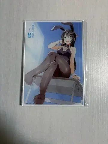 청춘 돼지 10주년 사쿠라지마 마이 아크릴 플레이트