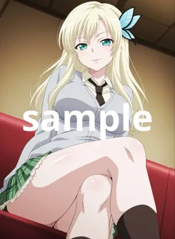 카시와자키 세나 나는 친구가 적다 브로마이드 11장 하가나이