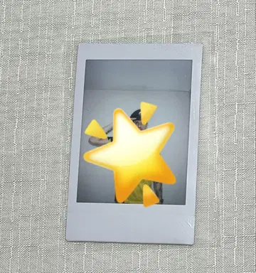 앤더슨 일본제철 사카이 블레이저스 폴라로이드 미국 대표 배구