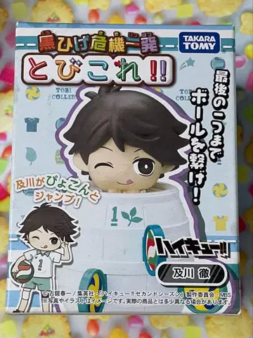 하이큐 오이카와 토오루 토비코레!! 아오바죠사이 아오죠 후루다테 하루이치