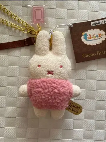 Cacao Bruna '모후라토' 딸기 초코 미피 백참