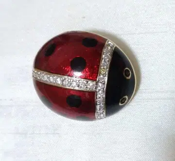 무당벌레 브로치