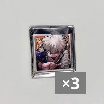 나의 히어로 아카데미아 히로아카 바쿠고 카츠키 십걸 아크릴 마그넷