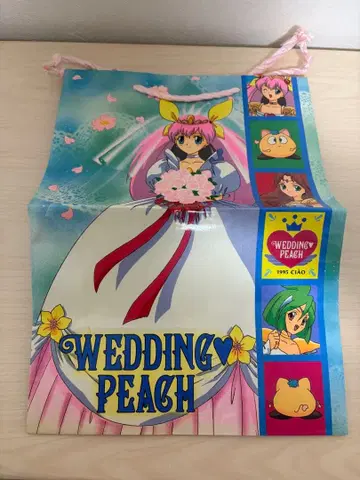 웨딩피치 종이 봉투 부록 챠오 1995년 5월호