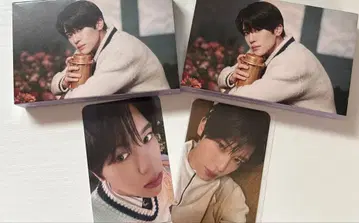 NCTWISH WISHLIST 시온 트레이딩 카드 카세트